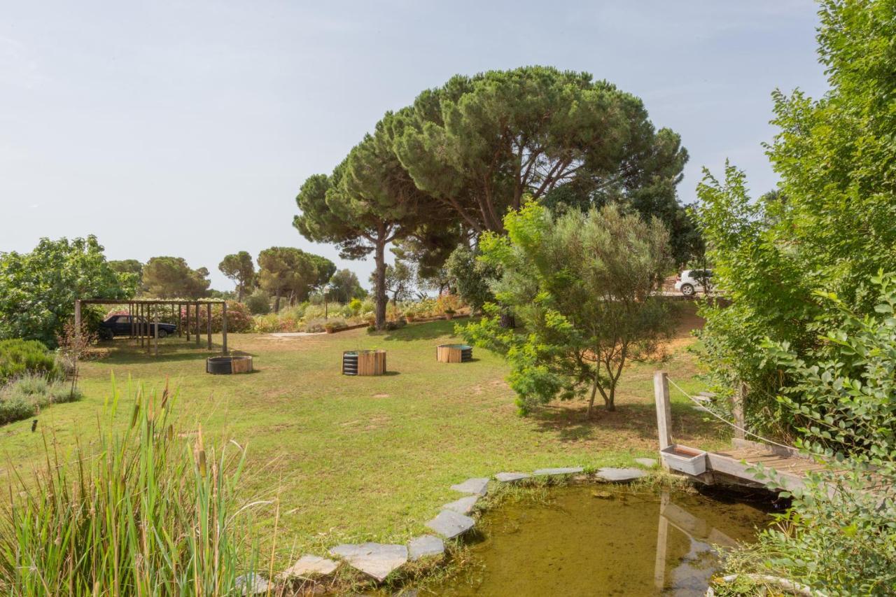 MontrásLe Rondini住宿加早餐旅馆 外观 照片